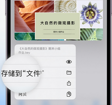 宣威apple维修中心分享iPhone文件应用中存储和找到下载文件