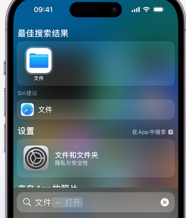 宣威apple维修中心分享iPhone文件应用中存储和找到下载文件 