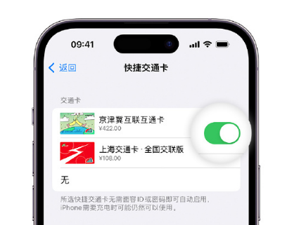 宣威apple维修点分享iPhone上更换Apple Pay快捷交通卡手绘卡面 