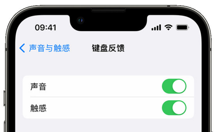 宣威苹果手机维修分享iPhone 14触感键盘使用方法 