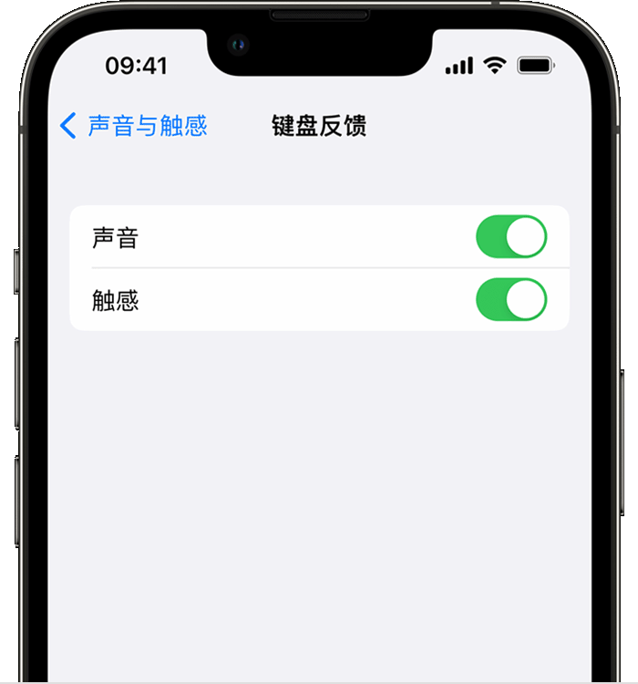 宣威苹果14维修店分享如何在 iPhone 14 机型中使用触感键盘 