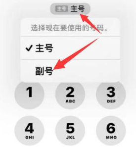 宣威苹果14维修店分享iPhone 14 Pro Max使用副卡打电话的方法 