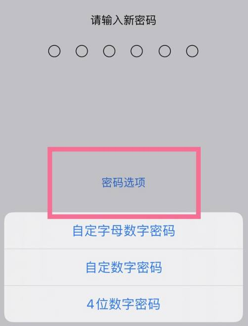 宣威苹果14维修分享iPhone 14plus设置密码的方法 