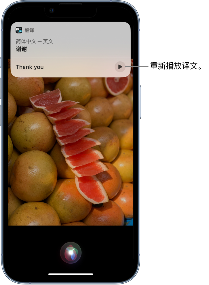 宣威苹果14维修分享 iPhone 14 机型中使用 Siri：了解 Siri 能帮你做什么 