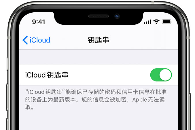 宣威苹果手机维修分享在 iPhone 上开启 iCloud 钥匙串之后会储存哪些信息 