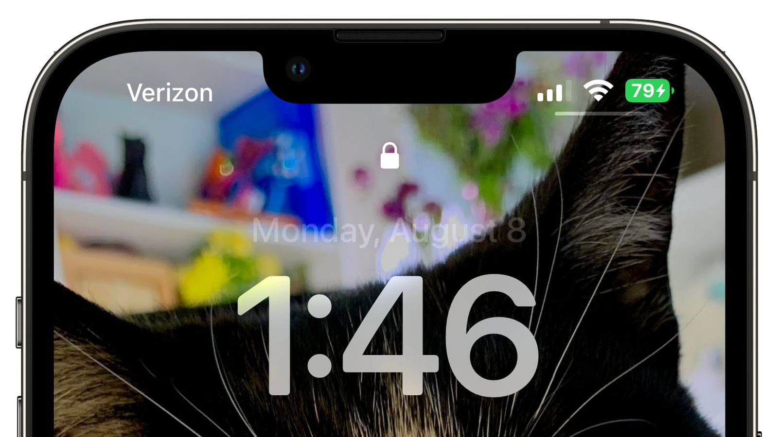 宣威苹果手机维修分享iOS 16 beta 5 支持状态栏显示电池百分比，如何开启？支持哪些机型 