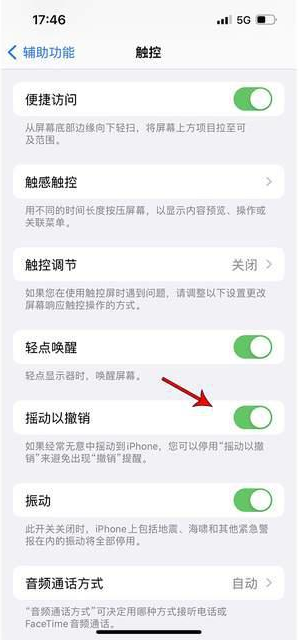 宣威苹果手机维修分享iPhone手机如何设置摇一摇删除文字 