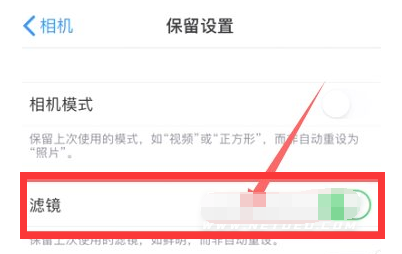 宣威苹果13维修分享iPhone13拍照有绿点是怎么回事 